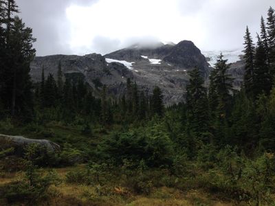 A view of Rainbow Mountain looking through a field of trees in Whistler, British Columbia.