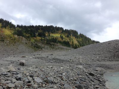 A mix of debris from the glacier and a view of trees and grass in Whistler, British Columbia.