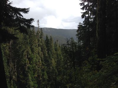 A view of trees high up, near a lookout on Skywalk Trail in Whistler, British Columbia.